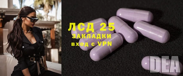 ГАЛЛЮЦИНОГЕННЫЕ ГРИБЫ Горно-Алтайск