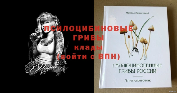 соль ск Горняк