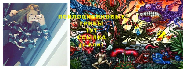 ГАЛЛЮЦИНОГЕННЫЕ ГРИБЫ Горно-Алтайск
