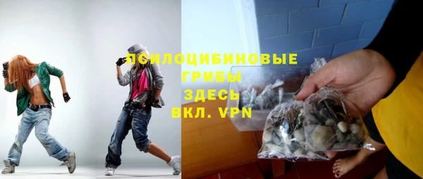 соль ск Горняк