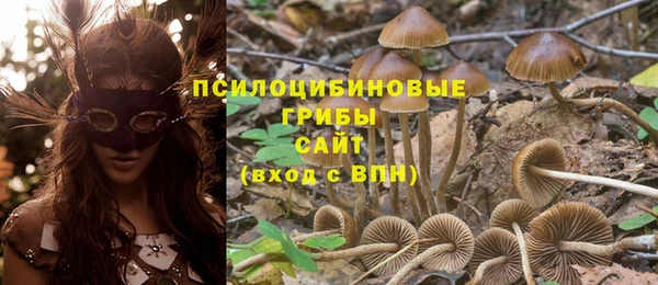 COCAINE Горнозаводск