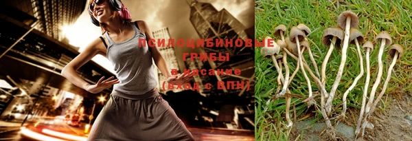 ГАЛЛЮЦИНОГЕННЫЕ ГРИБЫ Горно-Алтайск
