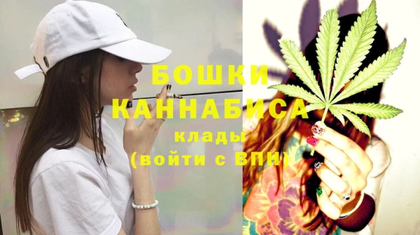 ГАЛЛЮЦИНОГЕННЫЕ ГРИБЫ Горно-Алтайск