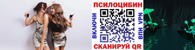 blacksprut как войти  Оха  darknet наркотические препараты  Галлюциногенные грибы Psilocybine cubensis 